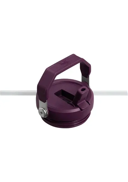Stanley The Iceflow Flip Straw 0.89 lt Pipetli Termos Bardak Turuncu