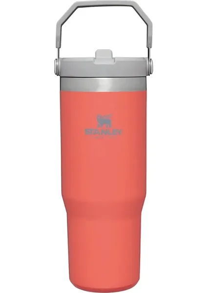 Stanley The Iceflow Flip Straw 0.89 lt Pipetli Termos Bardak Açık Mercan