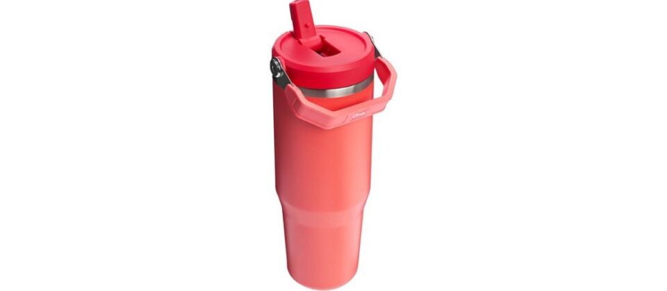 The Iceflow™ Flip Straw 2.0 Tumbler 0.89L / 30OZ Mercan